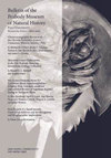 皮博迪自然歷史博物館公報(bào)