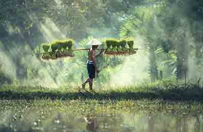 鄉村旅游業的發展現狀