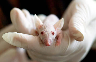 實驗經濟學論文