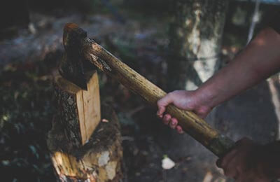 林業(yè)種苗容器的育苗技術(shù)研究