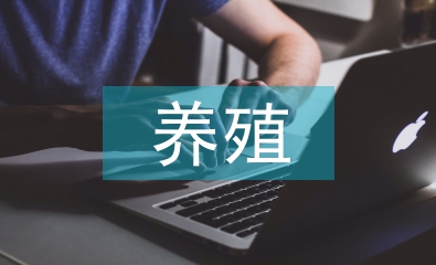 肉牛養(yǎng)殖公司企劃方案