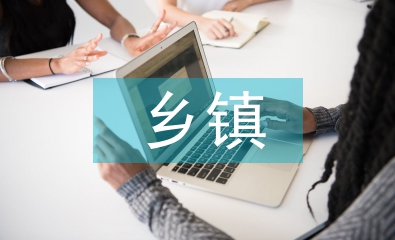 鄉(xiāng)鎮(zhèn)績效考核的問題及對策