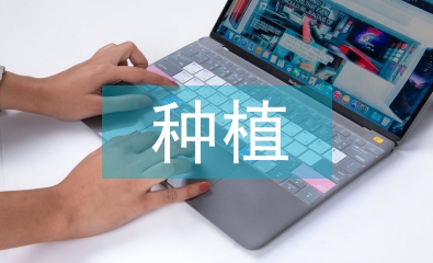 馬鈴薯種植中的平衡施肥技術