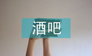 酒吧半年工作總結(jié)