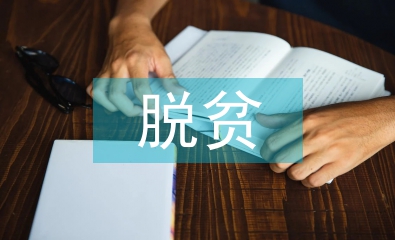 村級脫貧攻堅工作匯報