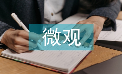 微觀經(jīng)濟學(xué)論文