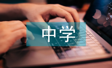 中學(xué)德育論文