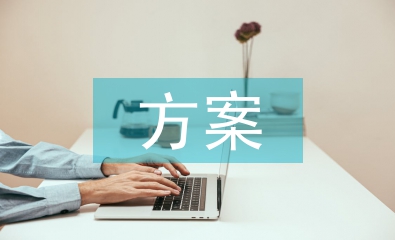 網絡營銷方案論文