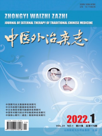 中醫外治雜志