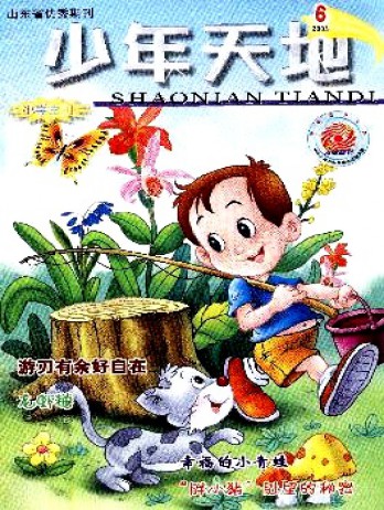 少年天地·小學(xué)雜志