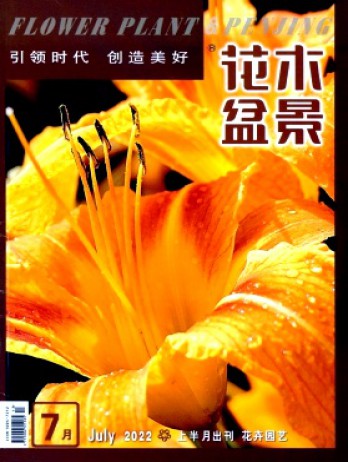 花木盆景·花卉園藝雜志