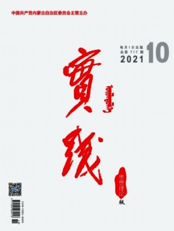 實踐·思想理論版雜志