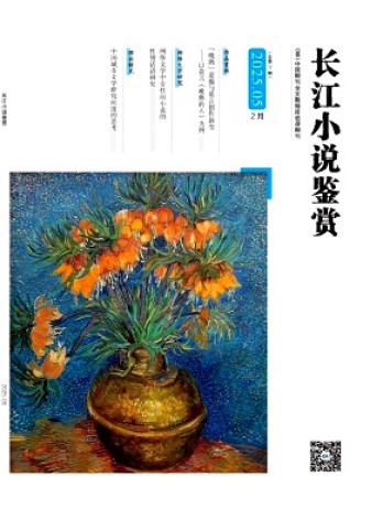 長江小說鑒賞雜志